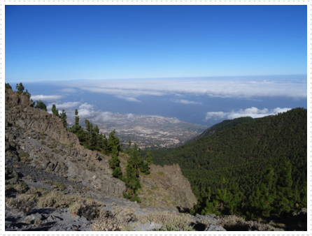 La Orotava Valley La Orotava Valley